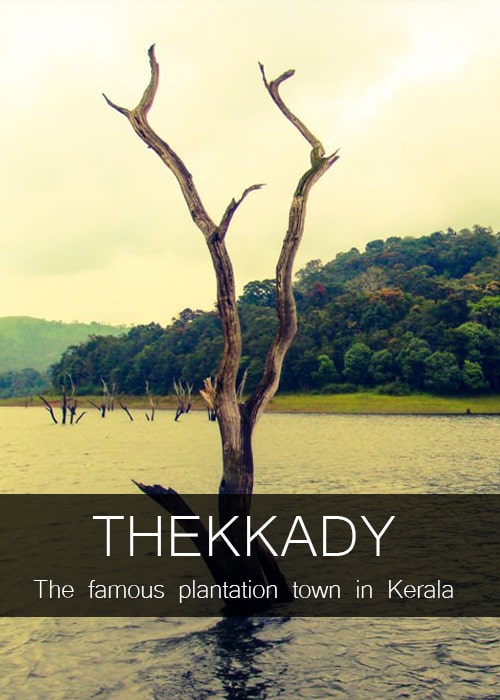 thekkady